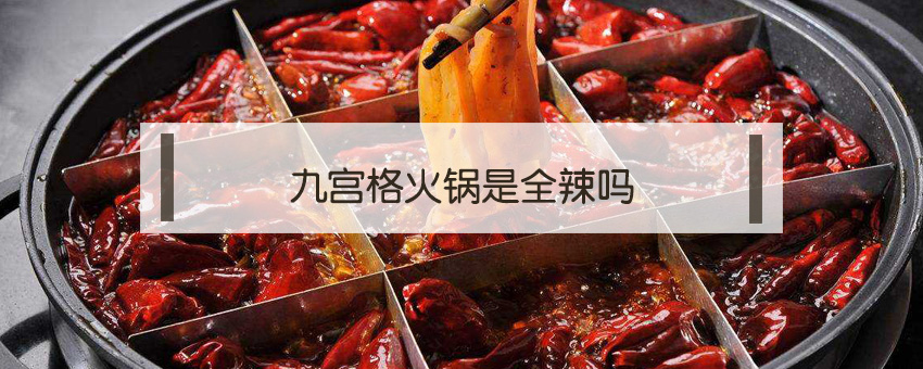 九宫格火锅是全辣吗