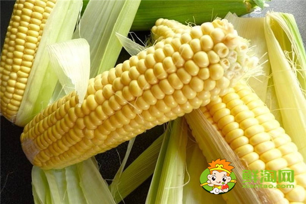 一根玉米去芯大概多重,甜玉米糯玉米哪个减肥
