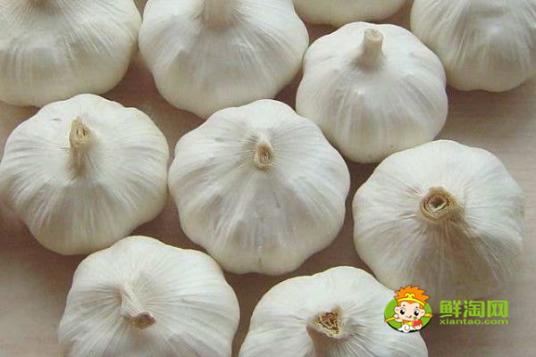 芒果不能和什么一起吃，芒果和什么一起吃好